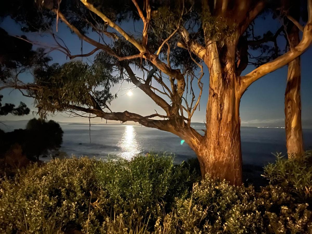 Beachside Taroona With Apartment