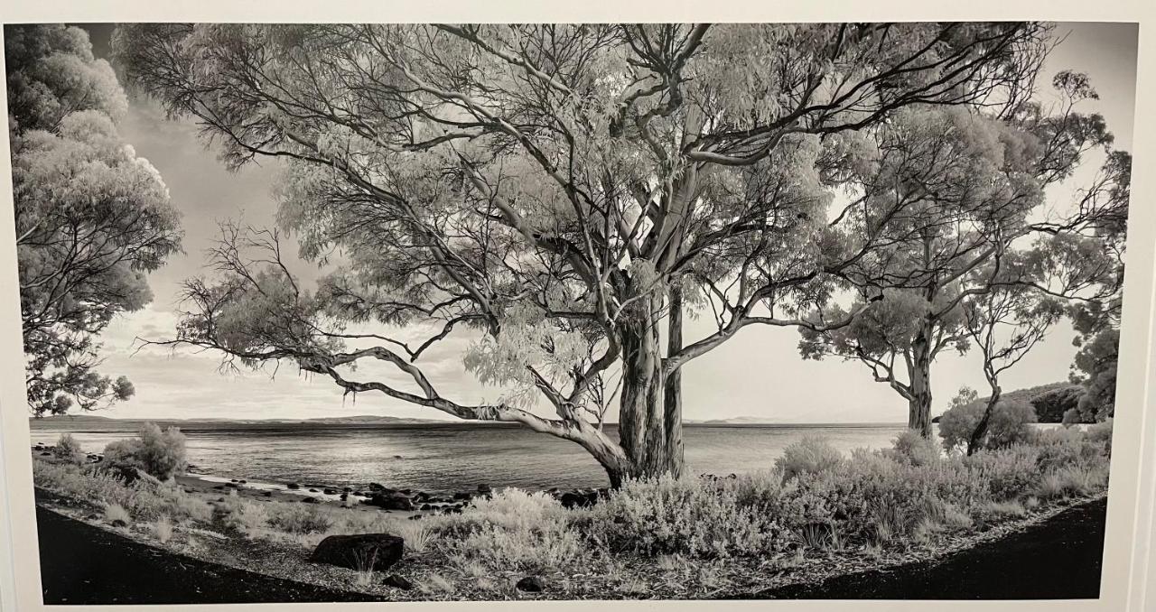 Beachside Taroona With * Sandy Bay