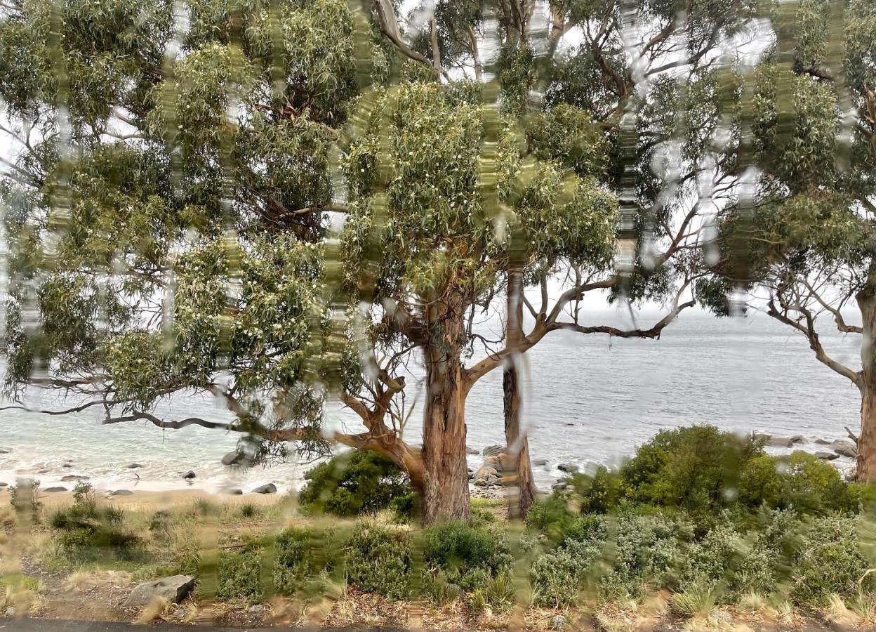 Apartment Beachside Taroona With Sandy Bay