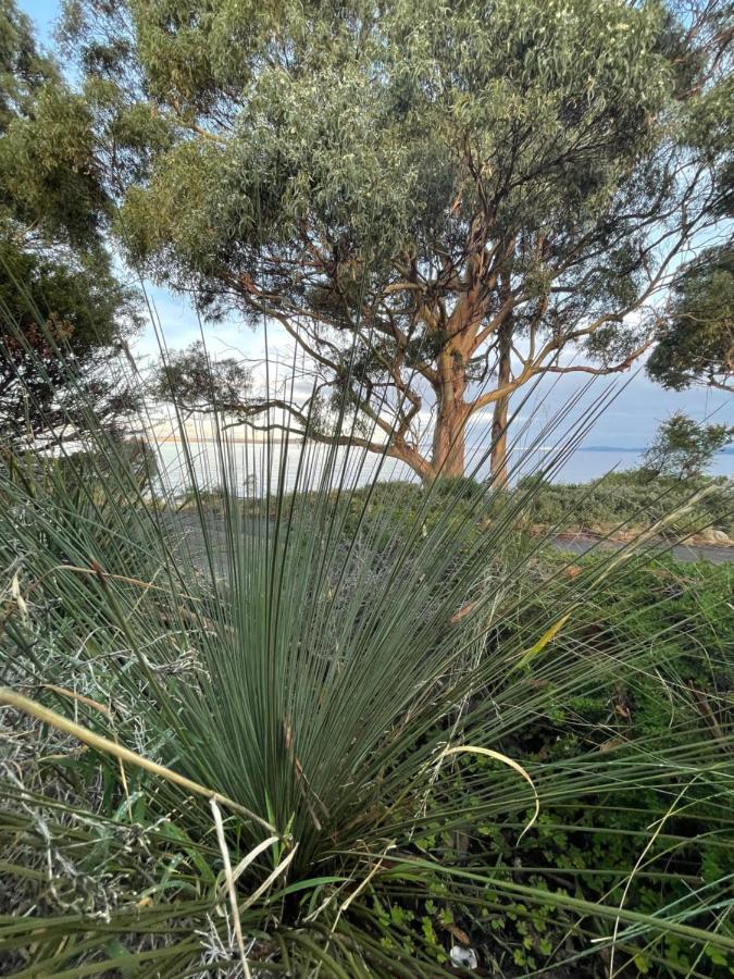 Beachside Taroona With *