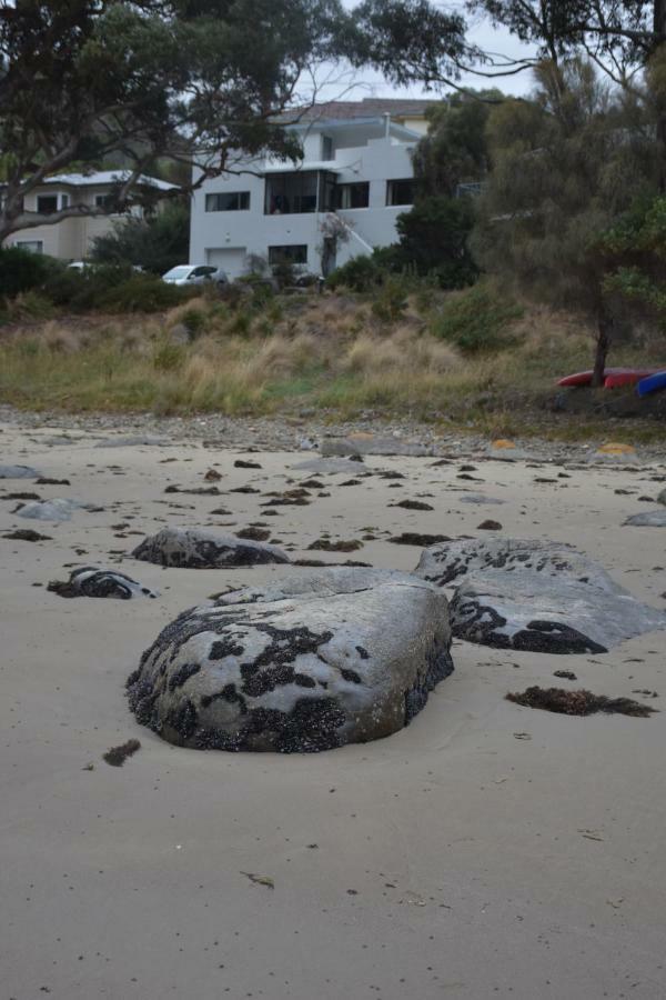 Beachside Taroona With Apartment *