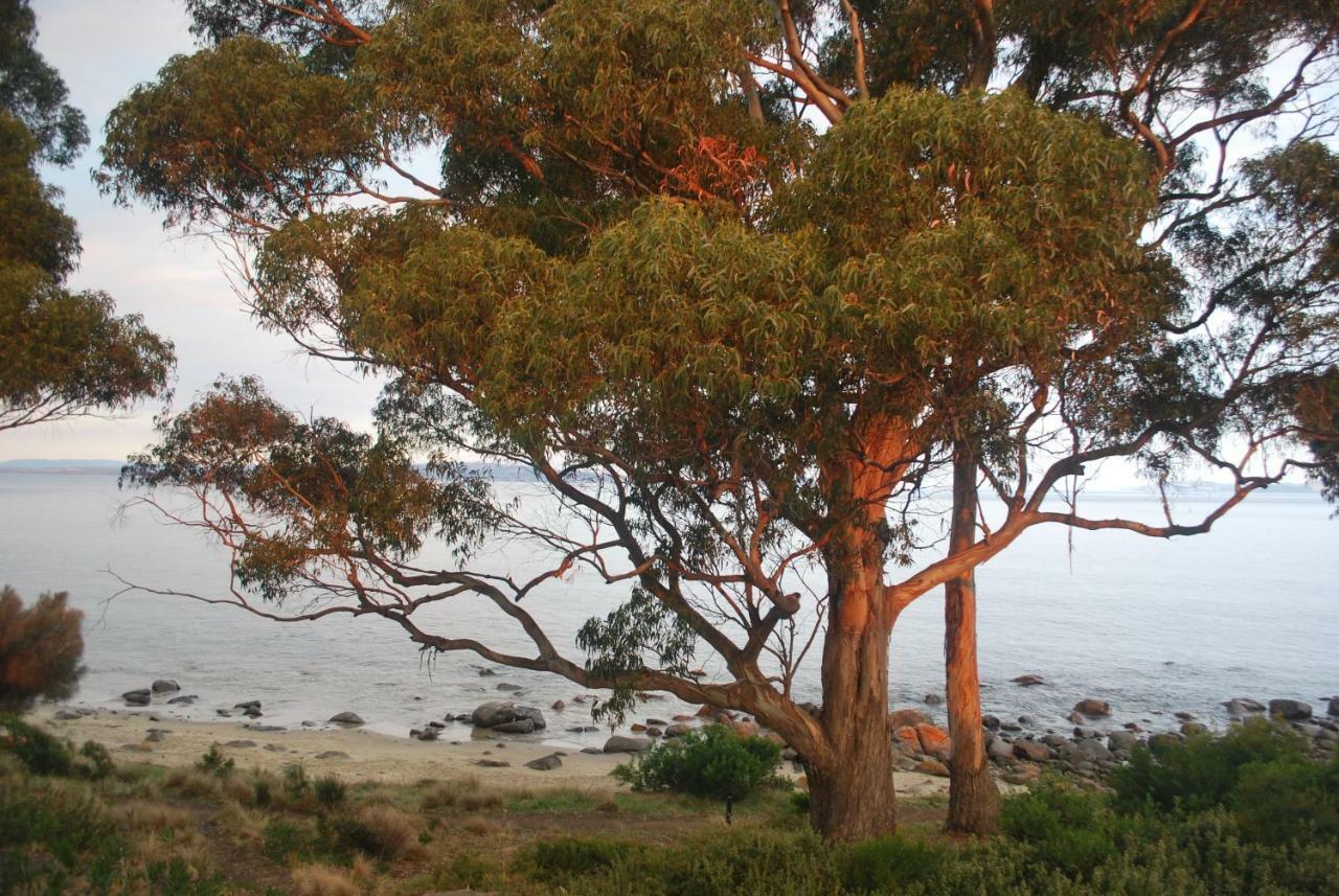 Beachside Taroona With Apartment