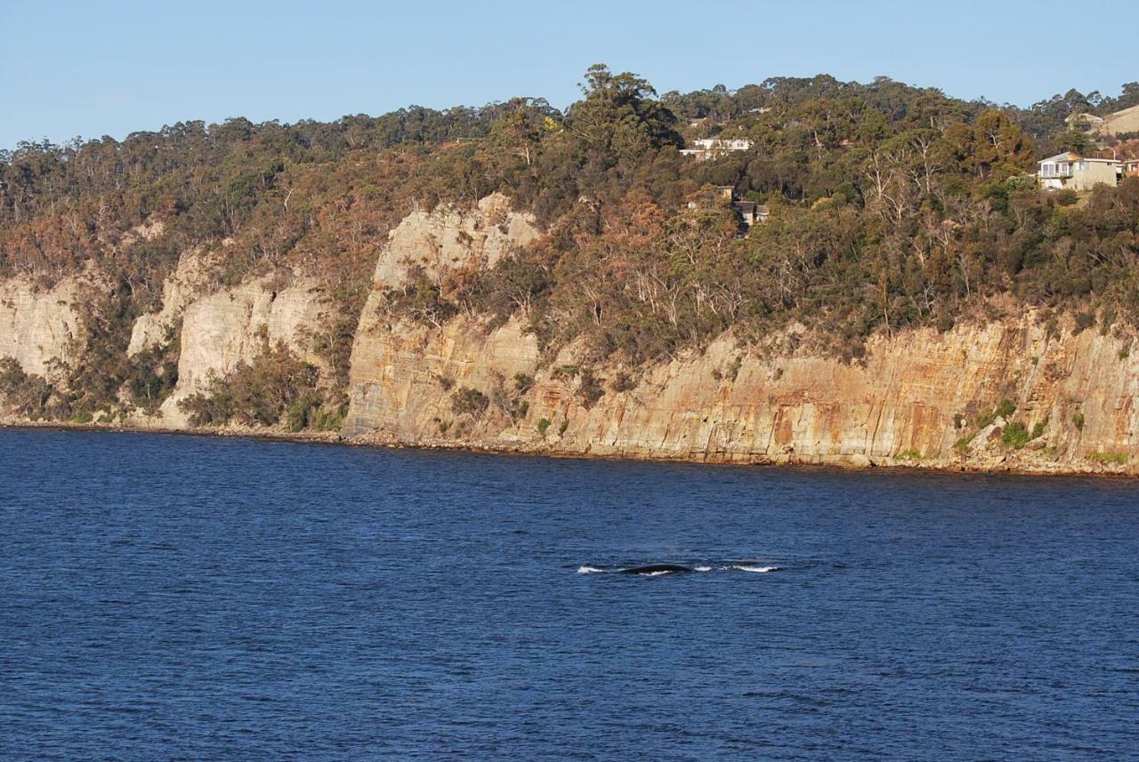 Beachside Taroona With Sandy Bay