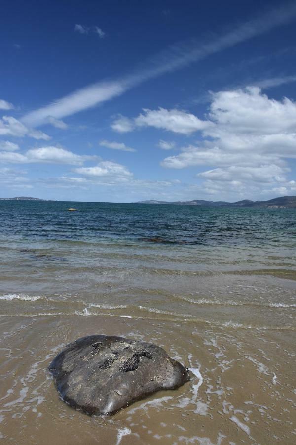 Beachside Taroona With Apartment Sandy Bay