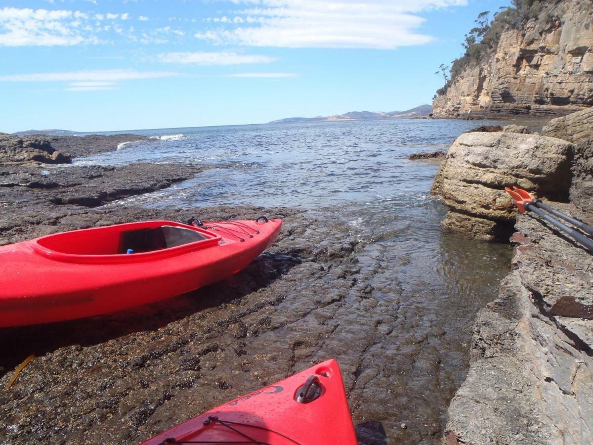 Beachside Taroona With Apartment *